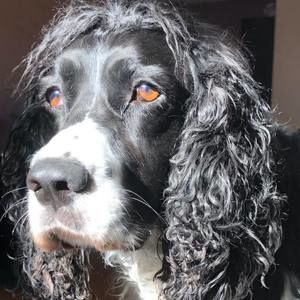 Meet your Posher, Karie